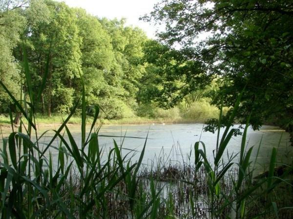 Ferienhaus Bindow Heidesee المظهر الخارجي الصورة